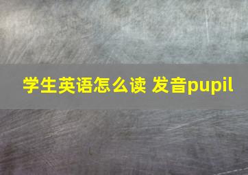 学生英语怎么读 发音pupil